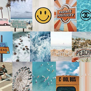 Meet your Posher, Rylee